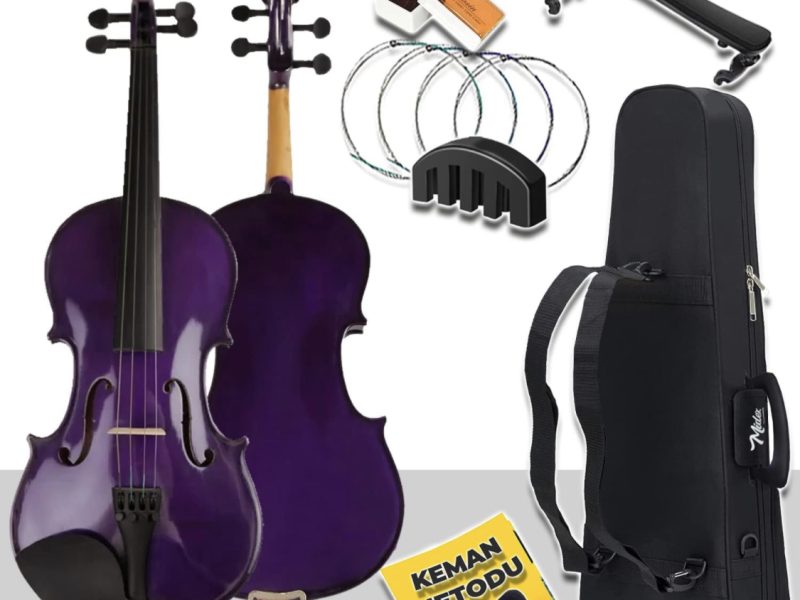 4/4 Full-Size Violin Set (Purple)