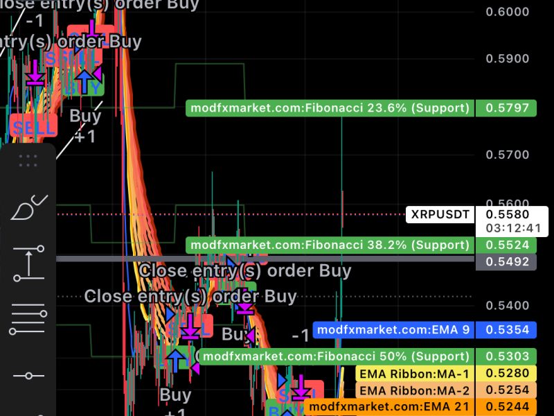 Trader Working Everywhere!