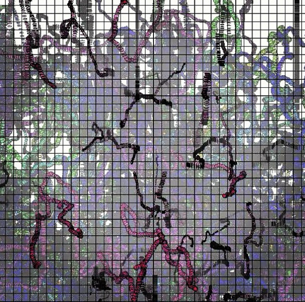 Pi Pi cover artwork