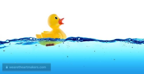 Rubber duck float in water