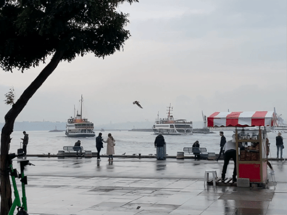 4E5822BE-9243-430D-A8FB-40088C4039D2.gif
