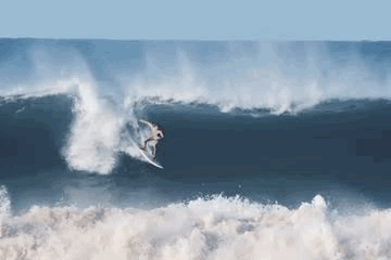 8344CBEA-6646-49DB-870F-3B3DDC3F41E8.gif