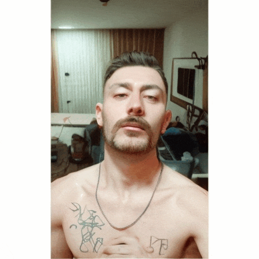 17347656-134134-1234.gif