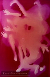 87779371-0D31-4452-83E4-54C5C0001360.jpg