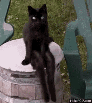 sitting.gif