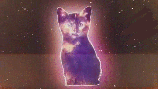 tumblr_lzifq69xIs1ro0q3co1_400.gif